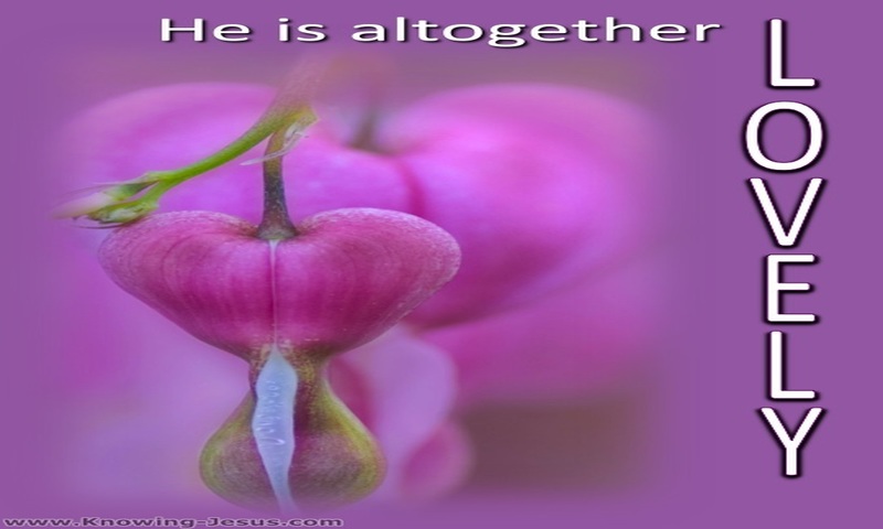  Song of Solomon 5:16 He Is Altogether Lovely (white)